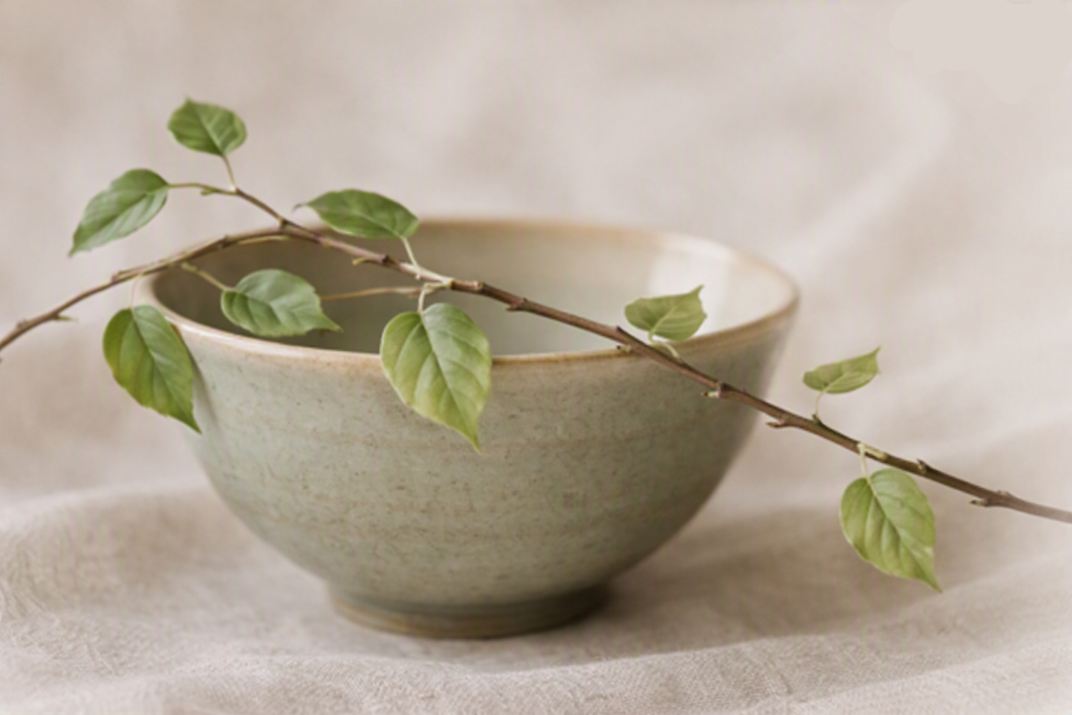 Bol zen avec branches